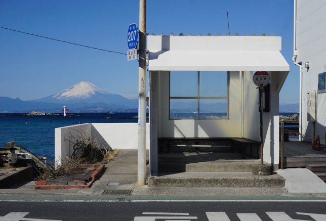 ★今月の１枚（２０２５年３月号）～富士山の見えるオシャレなバス停～