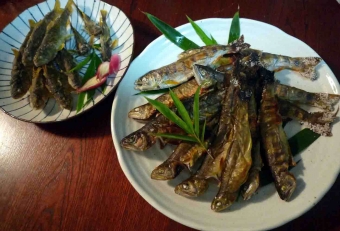 定番であり王道である塩焼き。川魚の焼き方は、炭火で焼くのがベスト。直火というより、遠目から遠赤外線を使ってジワジワ焼き枯らすのがコツです。炭をおこすのが手間な場合は、干物にしてからオーブンやグリルでカリカリに焼いても美味しいです。いずれも「水分を飛ばすこと」「弱火で時間をかけてジワジワ焼くこと」がコツです。